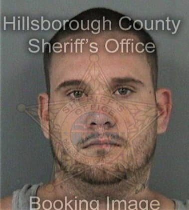 Matthew Dasinger, - Hillsborough County, FL 