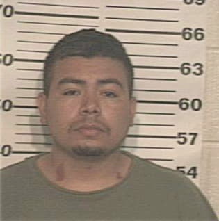 Miguel Gudino, - Hidalgo County, TX 