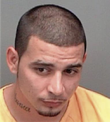 Victor Guzman, - Pinellas County, FL 