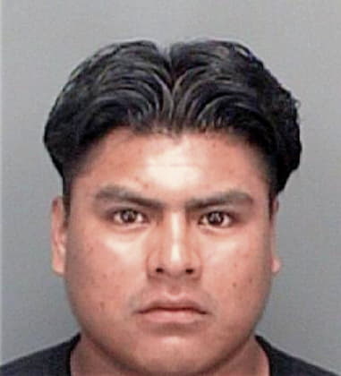 Marcus McClelland - Pinellas County, FL 