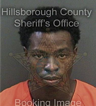 Philiron Williams, - Hillsborough County, FL 