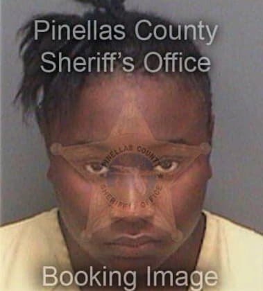 Tiara Woods, - Pinellas County, FL 