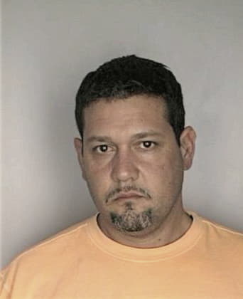 Gonzalo Ganlindoestrada, - Hillsborough County, FL 