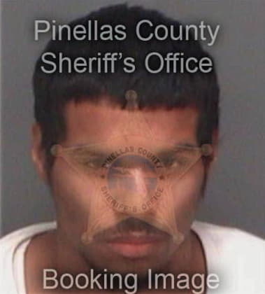 Celso Lopezhernandez, - Pinellas County, FL 