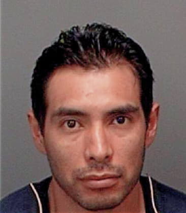 Saul Maysonettorres - Pinellas County, FL 