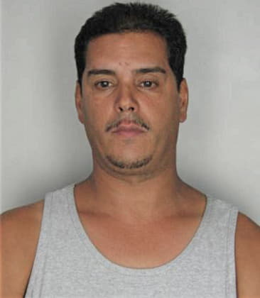 Saul Mezagonzales - Hillsborough County, FL 