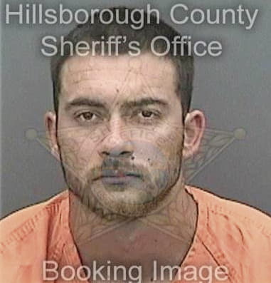 Cristian Olavarriagonzalez, - Hillsborough County, FL 