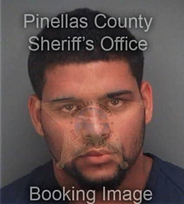 Javier Perezdiaz, - Pinellas County, FL 