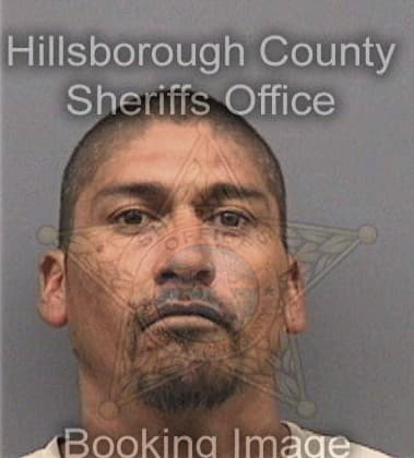 Luis Perezrodriguez, - Hillsborough County, FL 