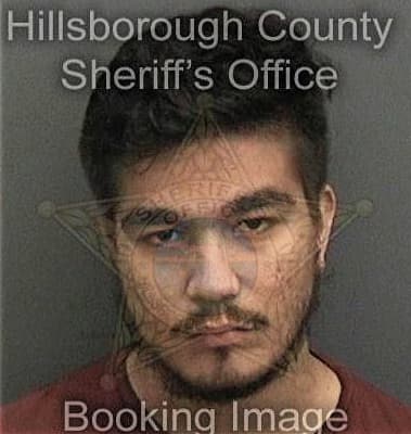 Andrickso Vasquez, - Hillsborough County, FL 