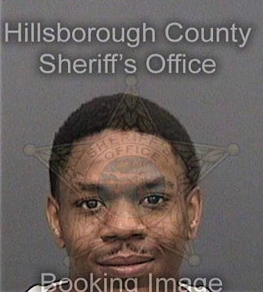 Kayode Awodibu, - Hillsborough County, FL 