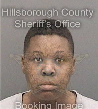 Ellis McGhee - Hillsborough County, FL 