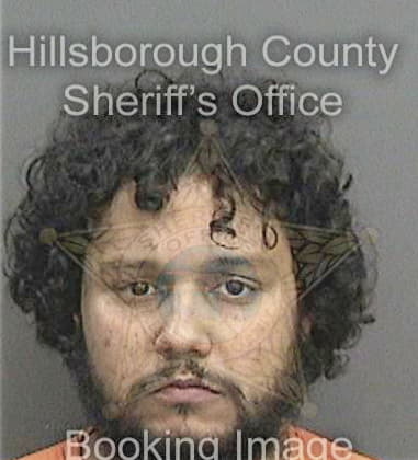 Francis Torredelfino, - Hillsborough County, FL 