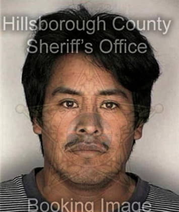 Donald Whitfield - Hillsborough County, FL 