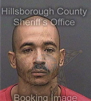 Carlos Wilkes - Hillsborough County, FL 