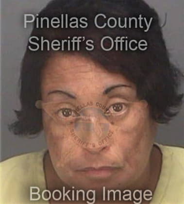 Wizaida Benitez, - Pinellas County, FL 