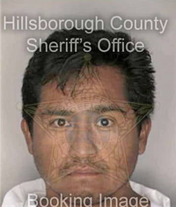 Hector Concepcion, - Hillsborough County, FL 