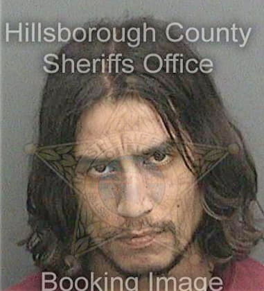 Matthew Logue, - Hillsborough County, FL 