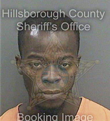 Desjone Perry, - Hillsborough County, FL 