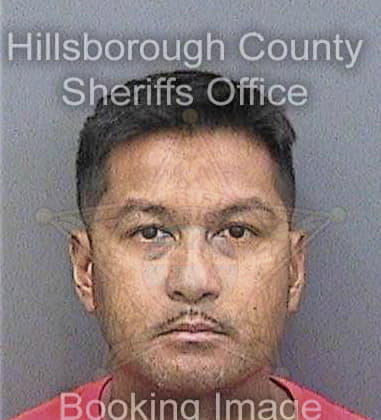 Nevin Reji, - Hillsborough County, FL 