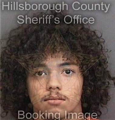 Lucio Salgadohernandez, - Hillsborough County, FL 