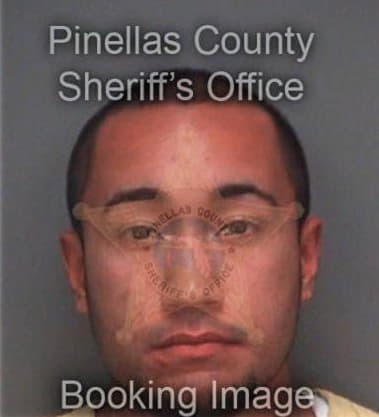 Michael Andrews, - Pinellas County, FL 