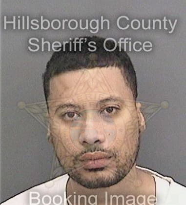 David Jones, - Hillsborough County, FL 