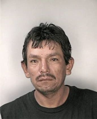 Fernando Maya - Hillsborough County, FL 