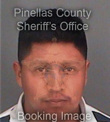 Omar Mendozamecias, - Pinellas County, FL 