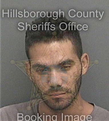 Timothy Moore, - Hillsborough County, FL 