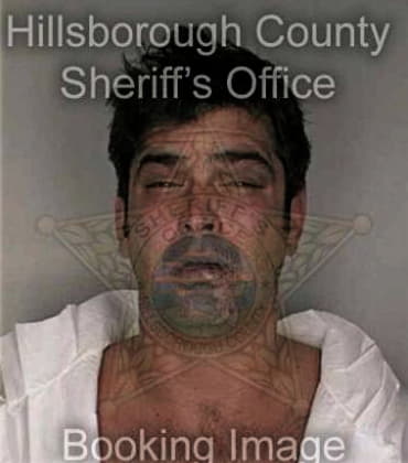 Victor Ortiz, - Hillsborough County, FL 