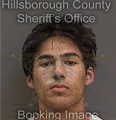 Joseph Aldazabal, - Hillsborough County, FL 