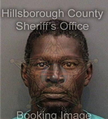 Don Key, - Hillsborough County, FL 