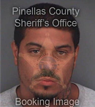 Antonio Lopez, - Pinellas County, FL 