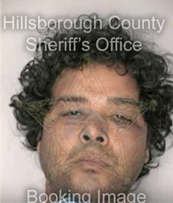 Donald Mersinger - Hillsborough County, FL 