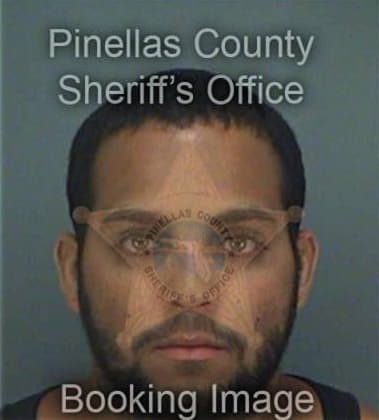 Brian Nelson, - Pinellas County, FL 