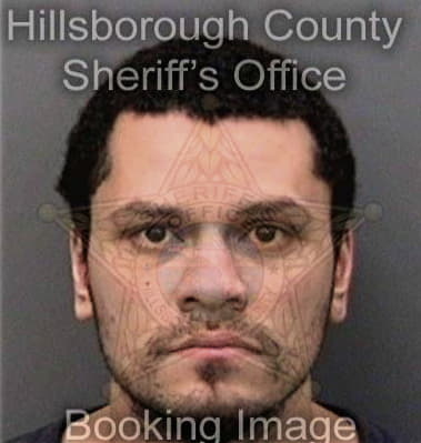 Sebastian Pedro, - Hillsborough County, FL 