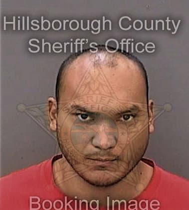 Yandry Perez, - Hillsborough County, FL 