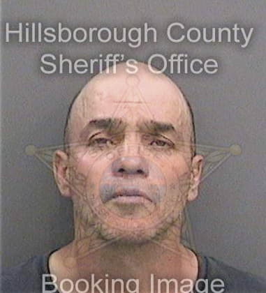Alexander Boerner - Hillsborough County, FL 