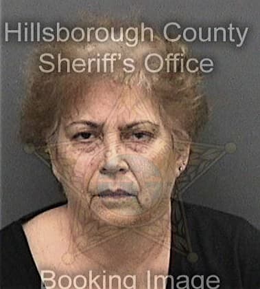 Kelly Bray - Hillsborough County, FL 