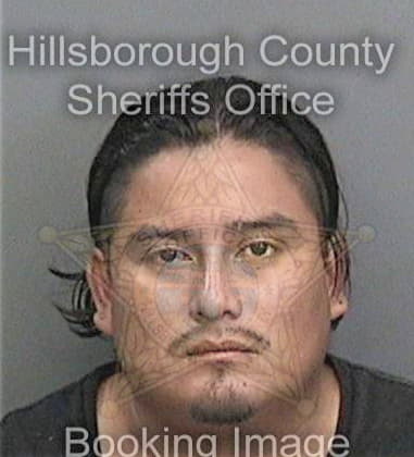 Russell Caple, - Hillsborough County, FL 