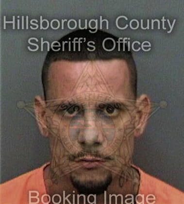 Hanry Hernandez - Hillsborough County, FL 