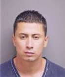 Delfino Lujano-Agustin, - Manatee County, FL 