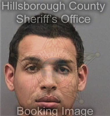 Dionicio Moralesvasquez, - Hillsborough County, FL 