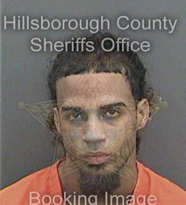Kenneth Robinson - Hillsborough County, FL 