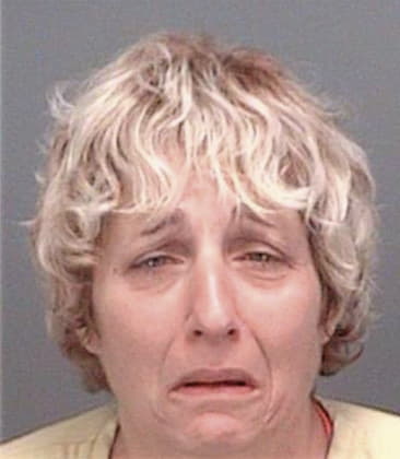 Danyelle Sleger - Pinellas County, FL 