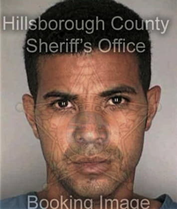 David Tyson, - Hillsborough County, FL 