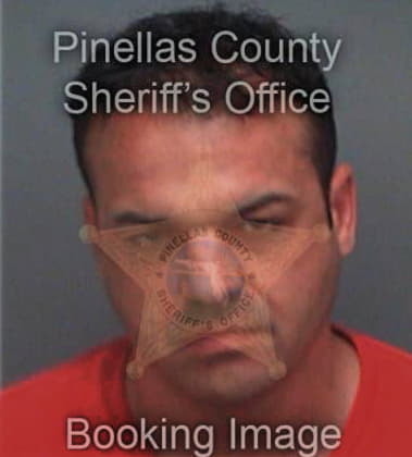 Michael Clayton, - Pinellas County, FL 