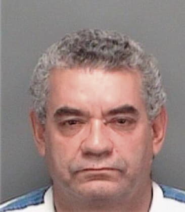 Estanislao Guadalupemelchor, - Pinellas County, FL 