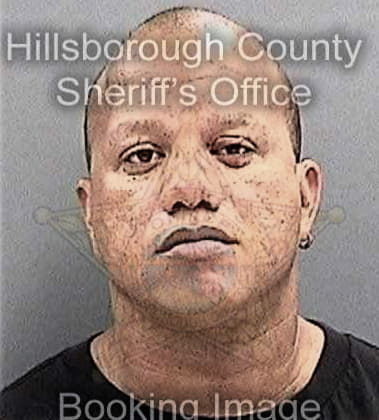 Darious McDaniels - Hillsborough County, FL 